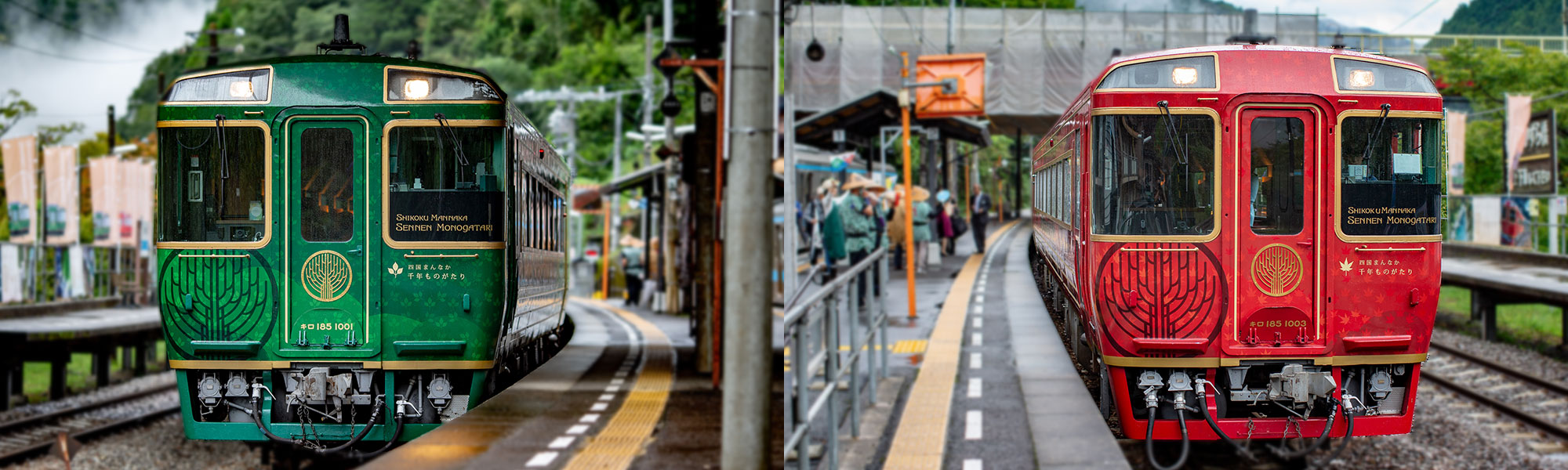 列車写真